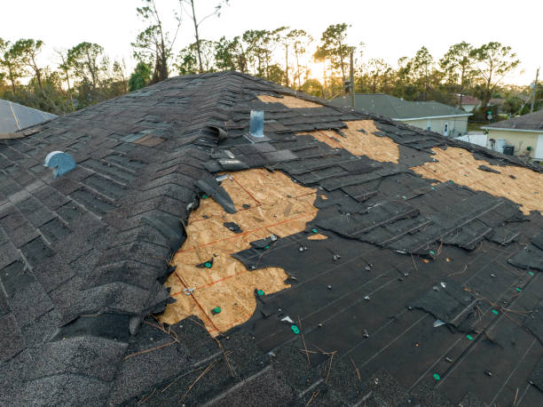 Best Skylight Installation and Repair  in Royalton, IL