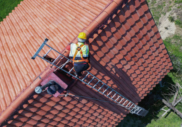 Best Emergency Roof Repair Services  in Royalton, IL