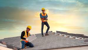 Best Roof Moss and Algae Removal  in Royalton, IL